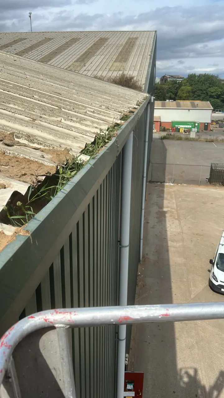 Overgrown gutter channel on a large industrial roof before cleaning