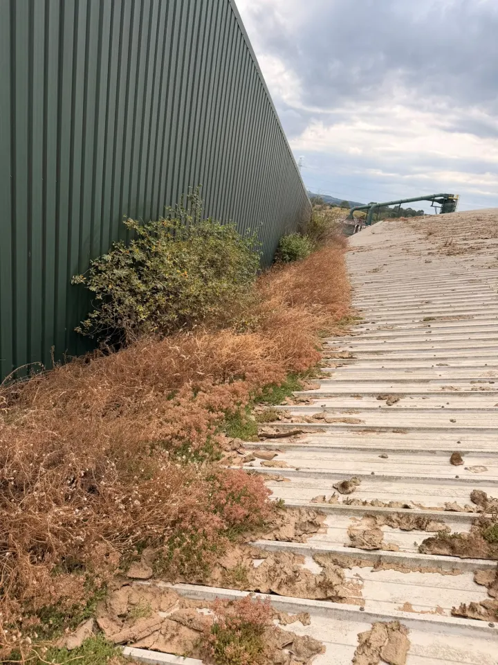Extensive plant growth and debris across an industrial roof valley