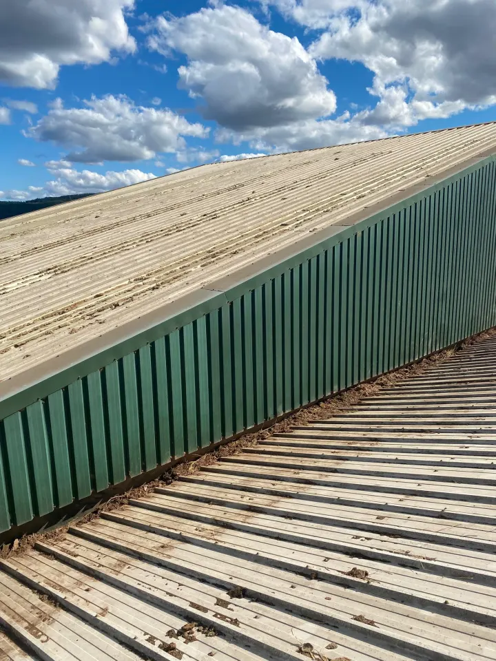 Commercial metal roof after vegetation and loose debris have been cleared