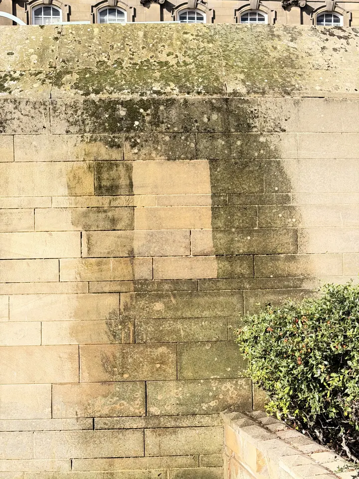 DOFF test patch on an algae-stained wall