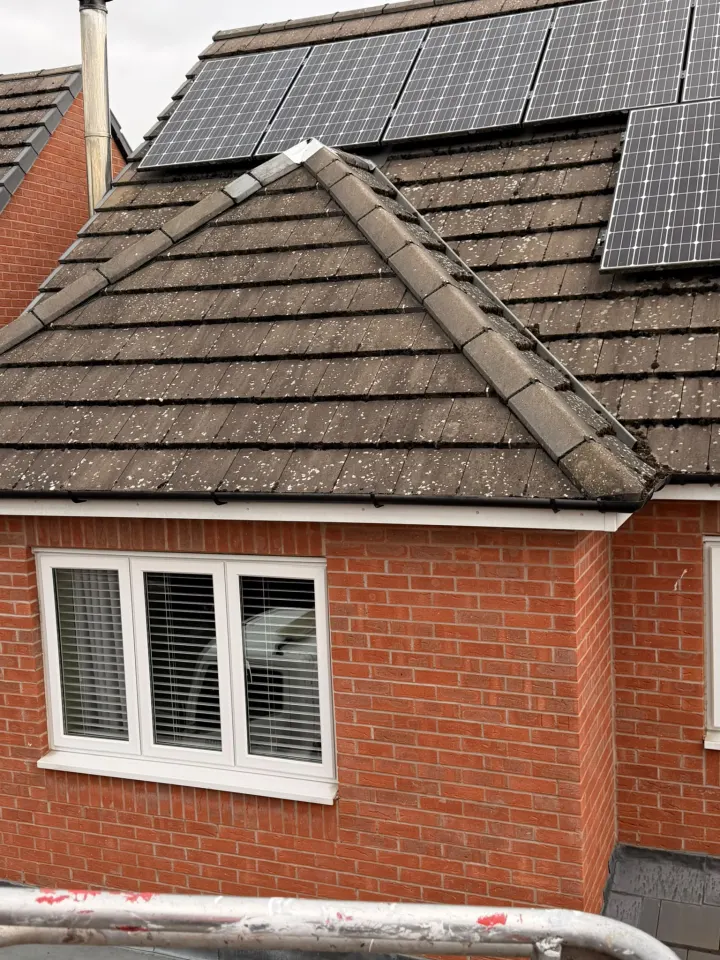 Domestic tiled roof with solar panels before professional cleaning