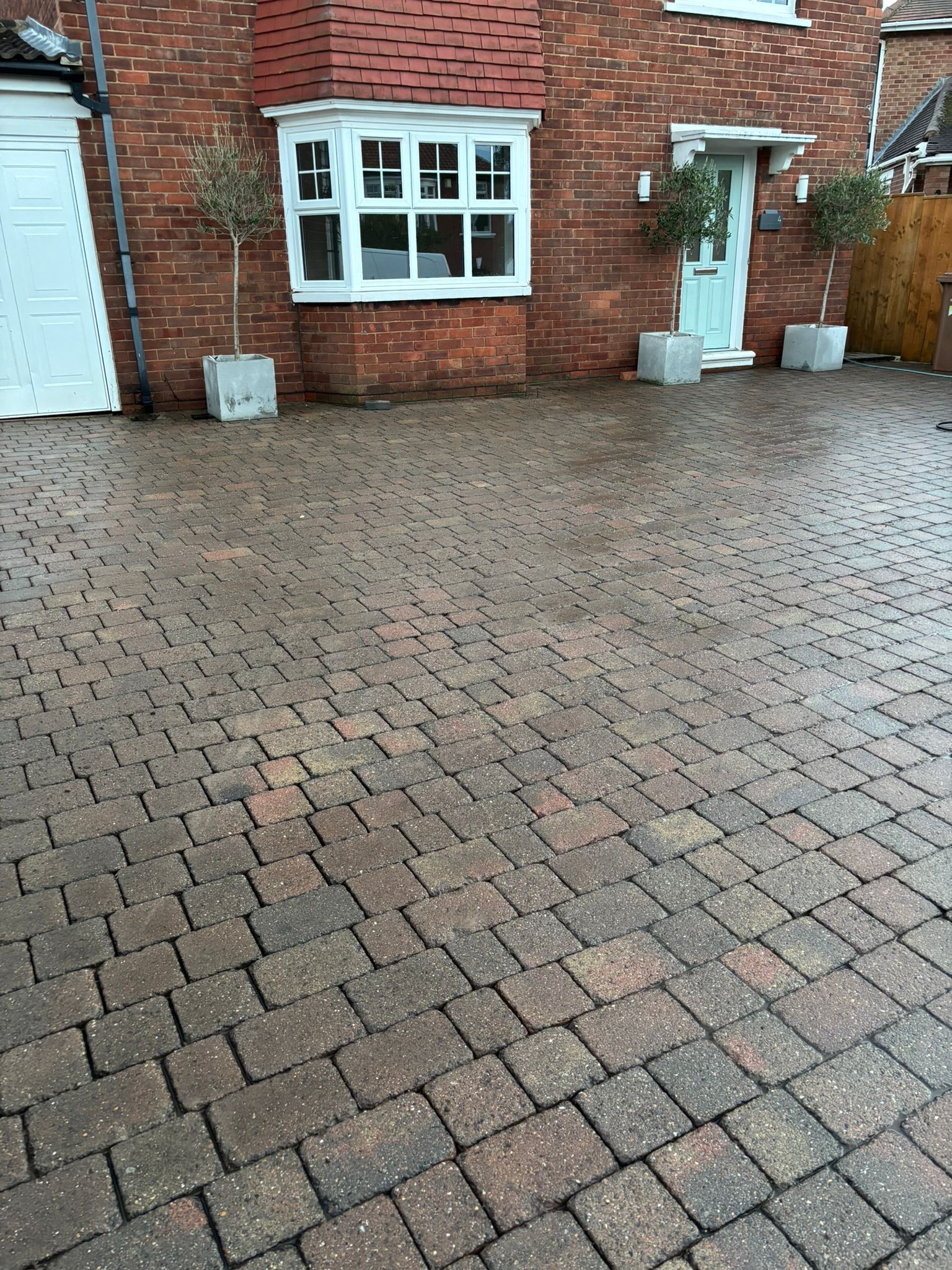 Professional cleaning service