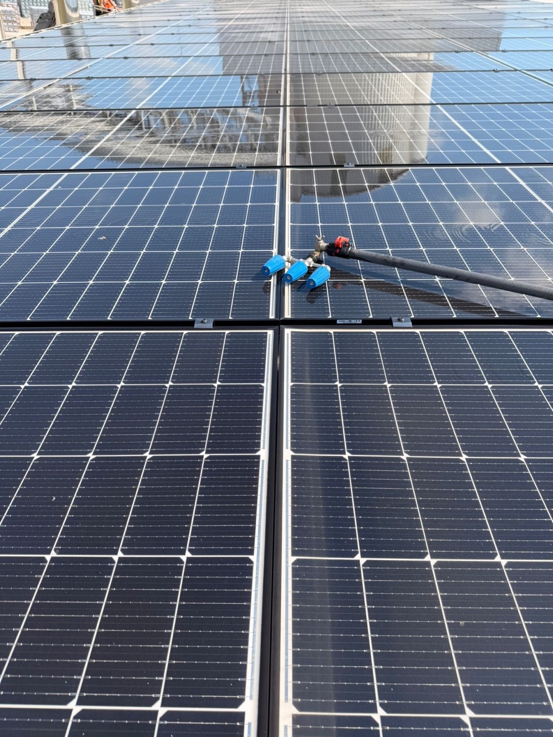 Water-fed pole and purified-water cleaning equipment