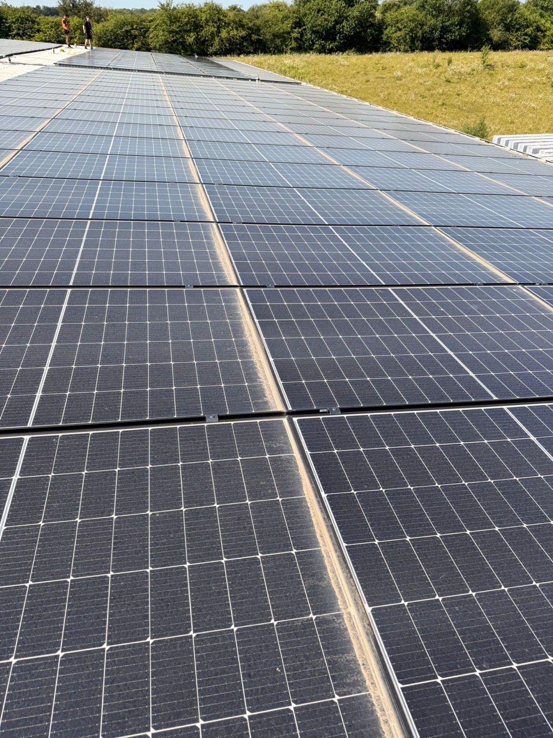 Ground-mounted solar farm array